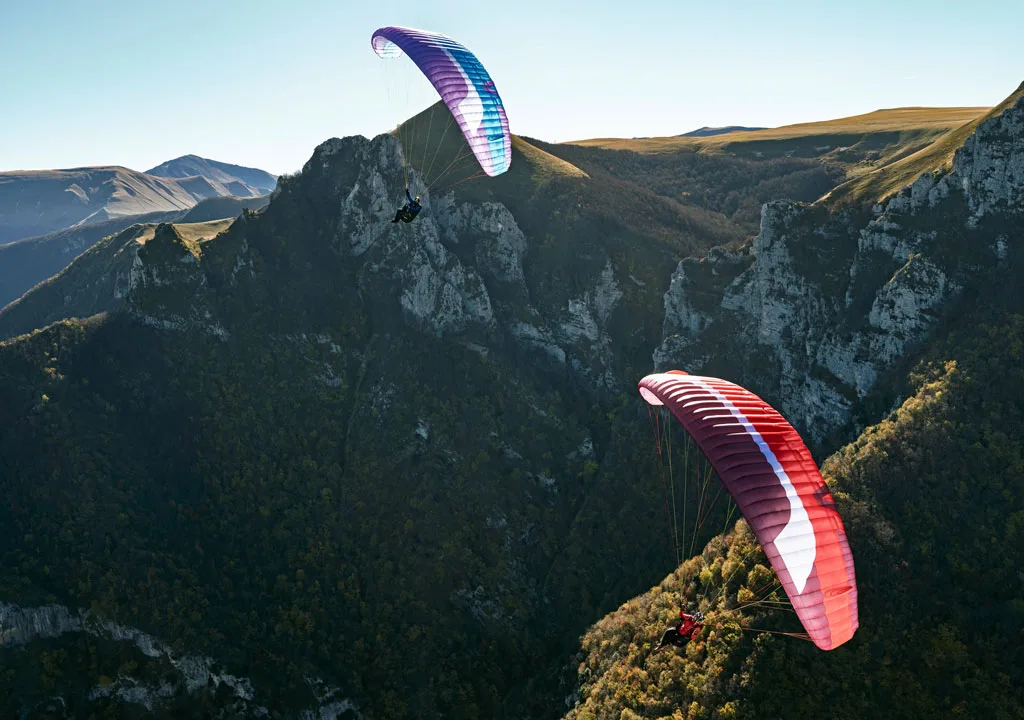 Mescal 7